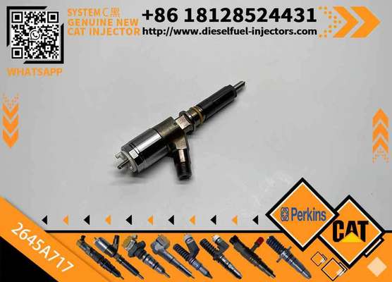Diesel Common Rail Injector 2645A717 2645a717 for C4 C6 Engine