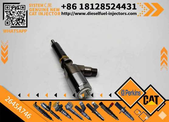 High Quality New Fuel System Parts Diesel Fuel Injector 3200677 320-0677 2645A746 for Diesel Engine