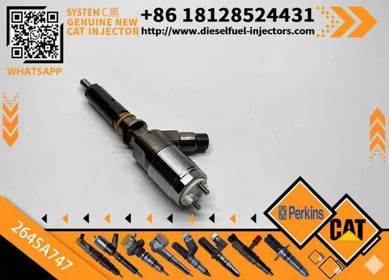 High Quality New Diesel Common Rail Fuel Injector 2645A747 2645a747 for CAT C6.6 Engine 323D Excavator