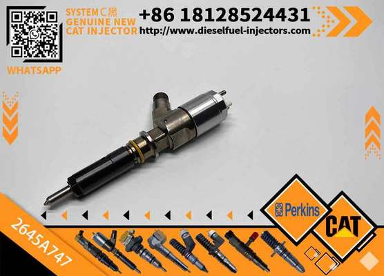 High Quality New Diesel Common Rail Fuel Injector 2645A747 2645a747 for CAT C6.6 Engine 323D Excavator