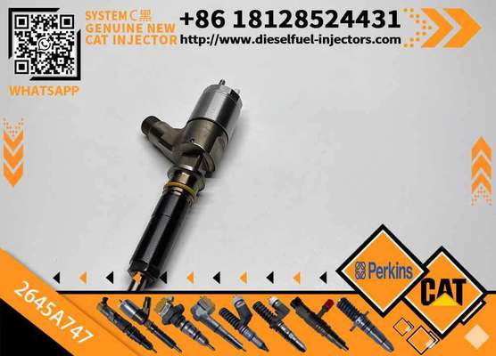 High Quality New Diesel Common Rail Fuel Injector 2645A747 2645a747 for CAT C6.6 Engine 323D Excavator