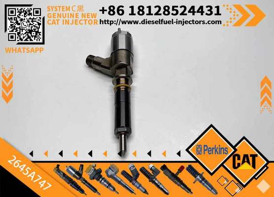 High Quality New Diesel Common Rail Fuel Injector 2645A747 2645a747 for CAT C6.6 Engine 323D Excavator