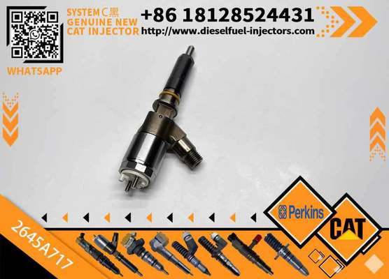 Diesel Common Rail Injector 2645A717 2645a717 for C4 C6 Engine