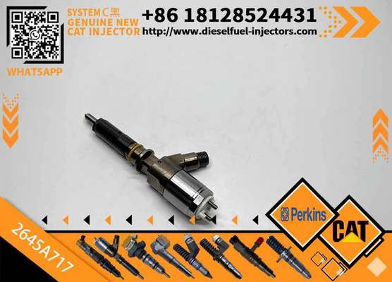 Diesel Common Rail Injector 2645A717 2645a717 for C4 C6 Engine