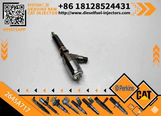 Diesel Common Rail Injector 2645A717 2645a717 for C4 C6 Engine