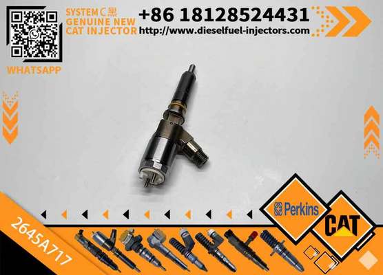 Diesel Common Rail Injector 2645A717 2645a717 for C4 C6 Engine