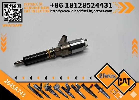 High Quality New Fuel System Parts Diesel Fuel Injector 2645A743 for Cat C6.6 Engine