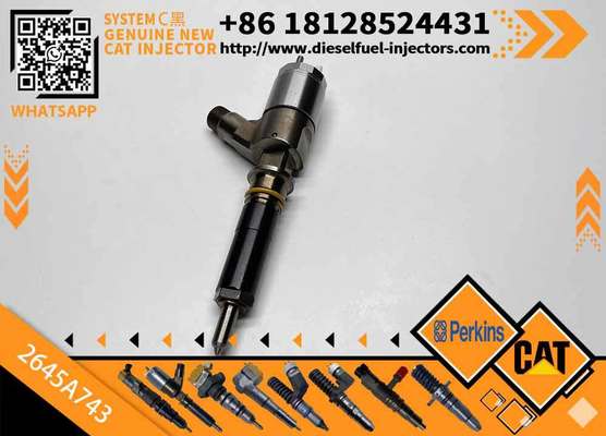 High Quality New Fuel System Parts Diesel Fuel Injector 2645A743 for Cat C6.6 Engine